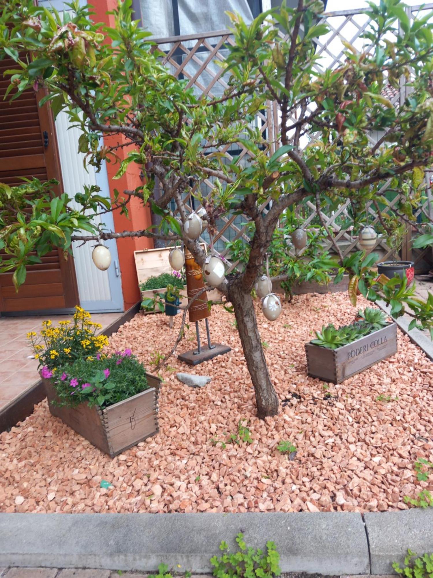 Bed and Breakfast Casa Carolina Castellinaldo Exterior foto
